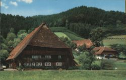 Traditional Black Forest Farmhouse with Thatched Roof Postcard