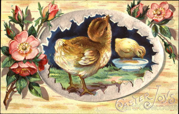 Easter Joys With Chicks