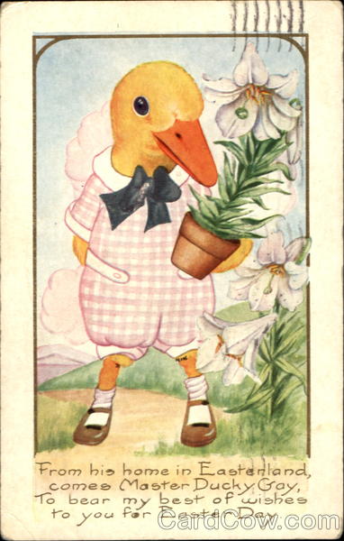 Dressed Duck With Other Animals