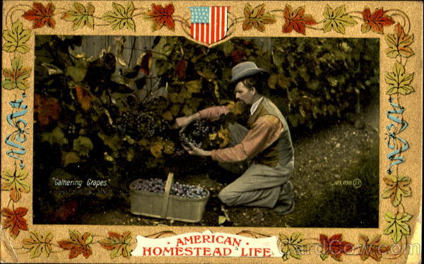 Gathering Grapes Patriotic