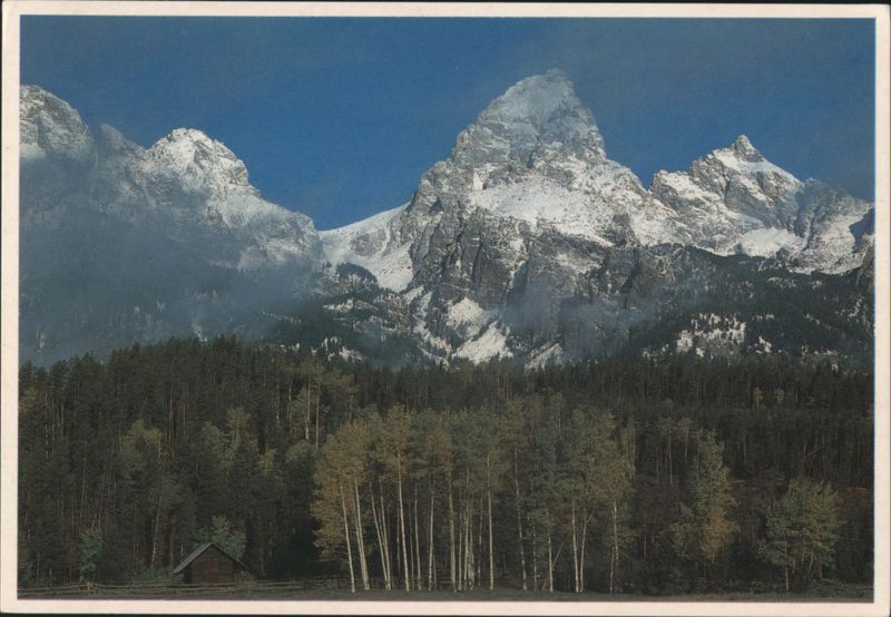 Grand Teton Mountain with Fresh Snow & Fall Colors Wyoming