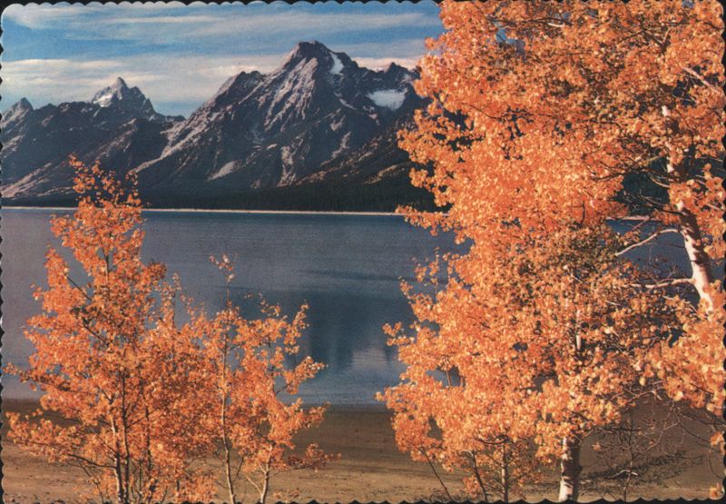 Autumn Tetons, Jackson Lake, Grand Teton National Park Wyoming