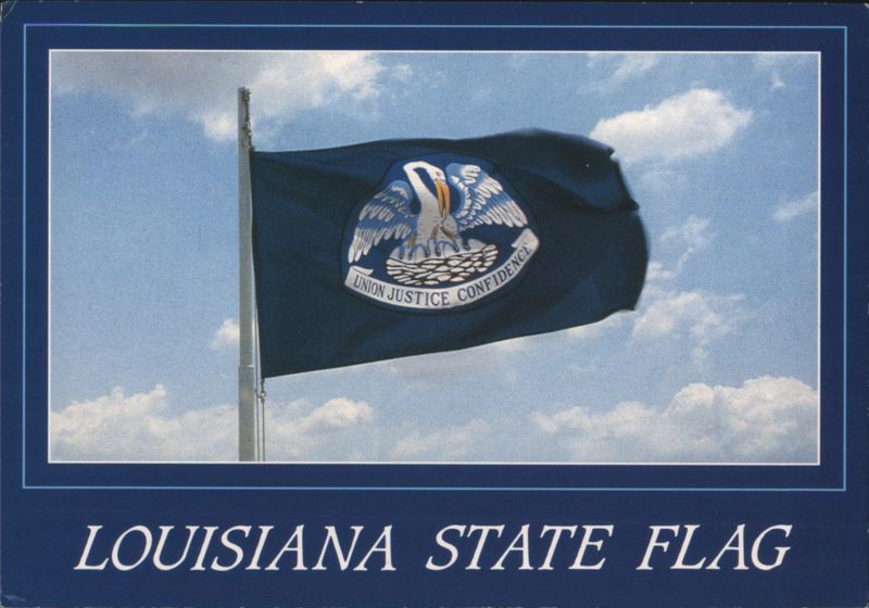 Louisiana State Flag with Pelican and Motto Bobby Potts