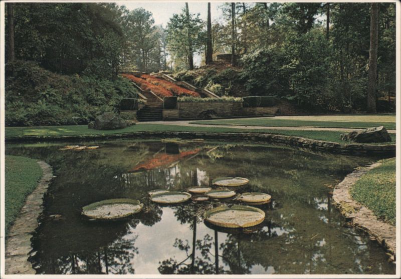 Hodges Gardens Water Lilies & Terraced Flower Beds, Louisiana Many