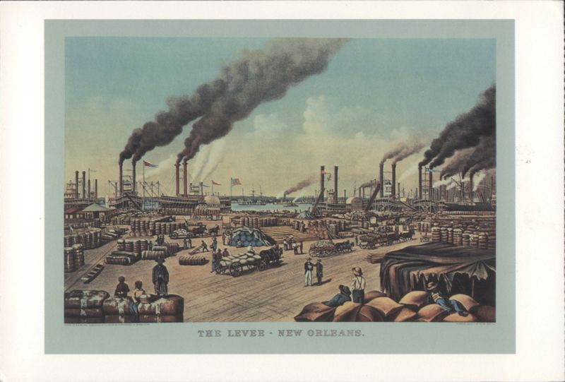The Levee - New Orleans Louisiana