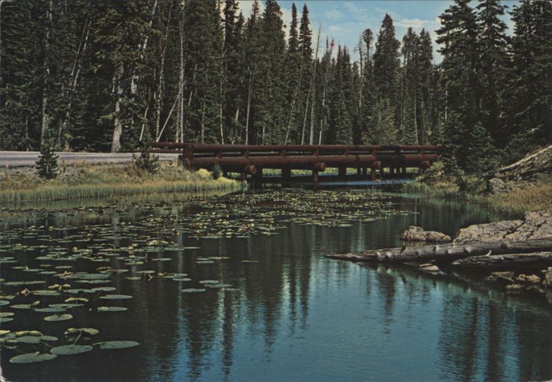 Isa Lake - Continental Divide, Yellowstone National Park