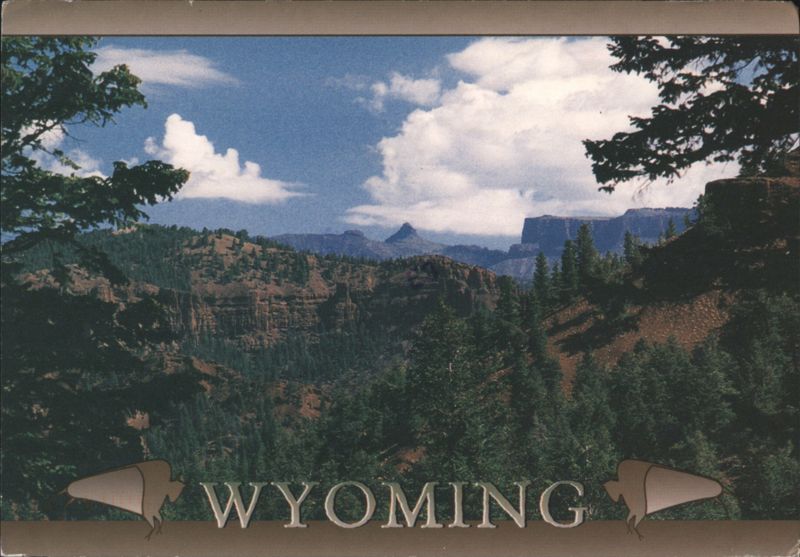 Wyoming Landscape, Shoshone National Forest Paul De Young