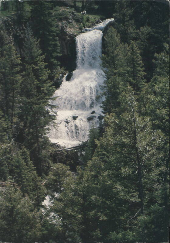 Undine Fall, Yellowstone National Park D. L. Ray