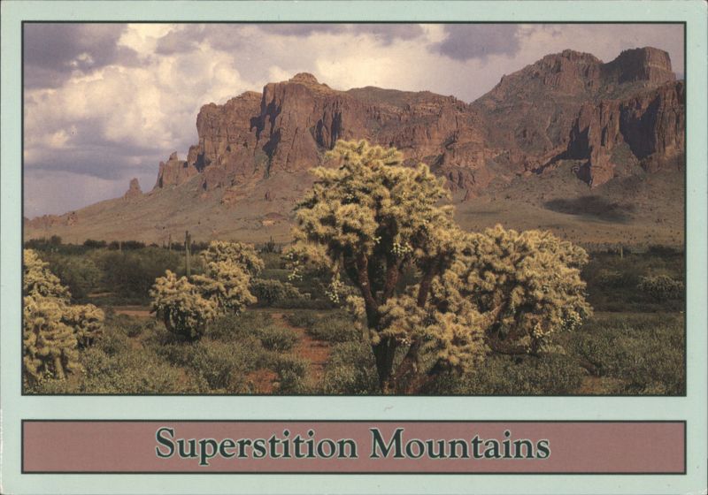 Superstition Mountains with Cholla Cacti, Arizona Apache Junction