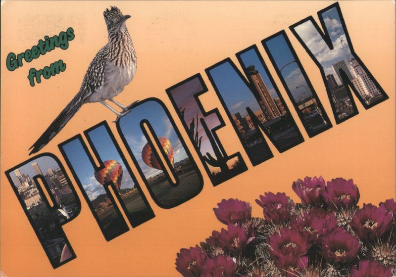 Phoenix AZ Roadrunner, Hot Air Balloons, Cityscape View Arizona