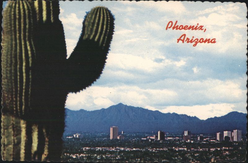 Saguaro Cactus & Phoenix, Arizona Skyline on North Central Ave