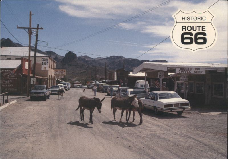 Wild Burros on Historic Route 66 in Oatman, Arizona