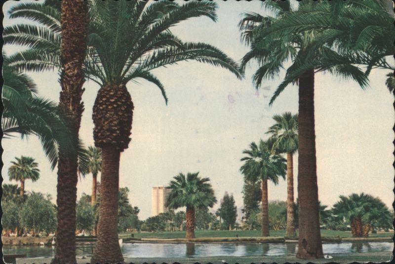 Encanto Park Palm Trees and Lake - Phoenix, AZ Arizona