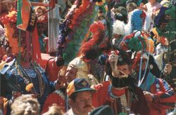 Mardi Gras Parade in New Orleans with Colorful Costumes Postcard