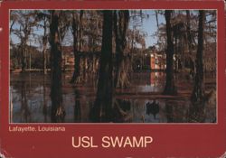 USL Swamp at University of Southwestern Louisiana Postcard