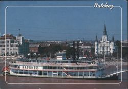 Steamboat Natchez on Mississippi River, New Orleans Postcard