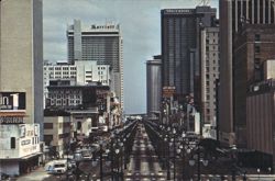 Canal Street, New Orleans Business Thoroughfare Postcard