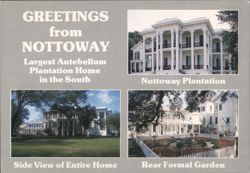 Nottoway Plantation, Largest Antebellum Home, White Castle Postcard