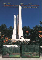 American Rose Center, Shreveport, Louisiana Postcard