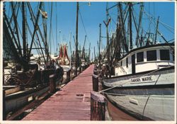 Shrimp Boats in Delcambre, Louisiana Postcard