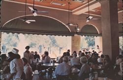 Cafe Du Monde Interior, New Orleans French Market Postcard