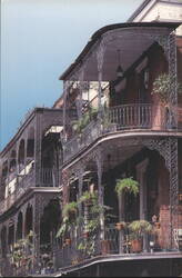 Lace Balconies on St. Peter Street, New Orleans Postcard