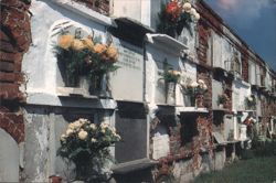 St. Louis Cemetery, New Orleans - Above Ground Vaults Postcard