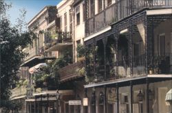 Lace Balconies, French Quarter, New Orleans, Louisiana Postcard