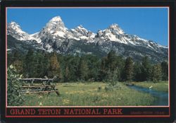 Grand Teton National Park, Snow-Capped Peaks & Buck Fence Postcard