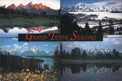 Grand Teton NP WY Seasons Views Continental Chrome Postcard Postcard