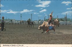 Bullriding at Daddy of 'Em All, Cheyenne Frontier Days Rodeo Postcard