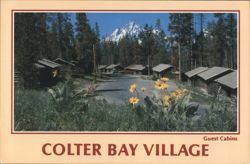 Colter Bay Village Guest Cabins, Grand Teton National Park Postcard