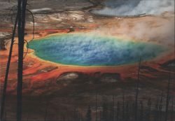 Grand Prismatic Spring, Yellowstone National Park Postcard
