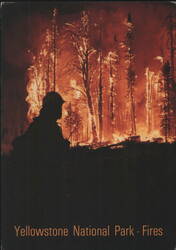 Yellowstone National Park Fires, 1988 Forest Fire Postcard