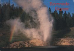 Riverside Geyser Erupting, Yellowstone National Park Postcard
