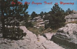 Oregon Trail Ruts in Southeastern Wyoming Postcard