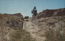 Oregon Trail Ruts in Southeastern Wyoming Postcard