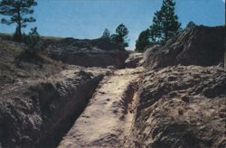 Oregon Trail Ruts near Guernsey, Wyoming Postcard