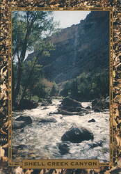 Shell Creek Canyon, Wyoming Postcard