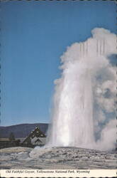 Old Faithful Geyser Eruption, Yellowstone National Park Postcard