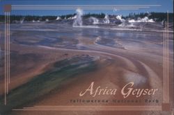 Africa Geyser, Yellowstone National Park Postcard
