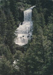 Undine Fall, Yellowstone National Park Postcard