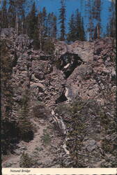 Natural Bridge, Yellowstone National Park, Wyoming Postcard