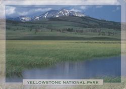 Yellowstone National Park Valley with Electric Peak Postcard