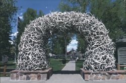 Arch of Elk Horns, Jackson Hole, Wyoming Postcard