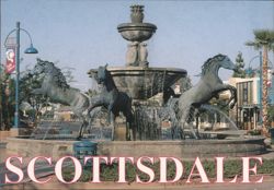 Scottsdale Fountain with Five Bronze Arabian Horses Postcard