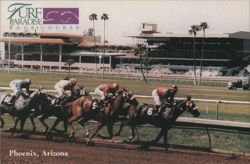 Turf Paradise Race Course Horse Race, Phoenix, Arizona Postcard