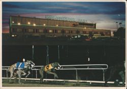 Greyhound Park Dog Racing, Phoenix, AZ Postcard