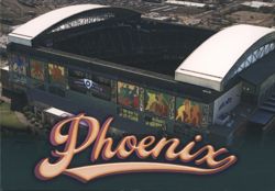 Chase Field - Phoenix, Arizona Postcard