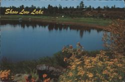 Show Low Lake, White Mountain Area, Arizona Postcard